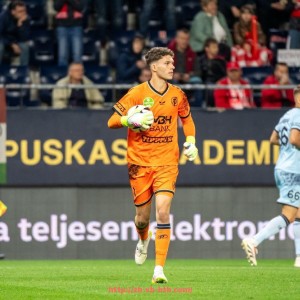 华体会hth-德甲球队食物链排名：谁是猎人谁是猎物？