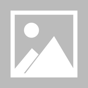 华体会hth-英超联赛中球员的详细数据统计与赛季表现总结